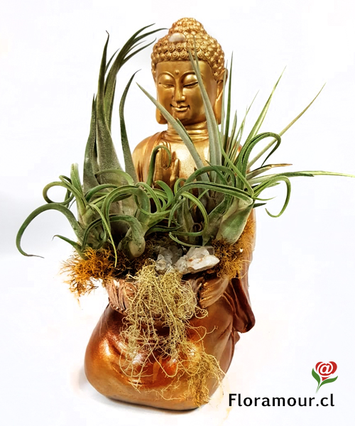 Bella figura mística de resina con tillandsias
No usa tierra, dar un rocío suave cada 4 días, luz indirecta y ventilación normal
Muy decorativo y fácil de mantener casas u oficinas 35 cms altura.